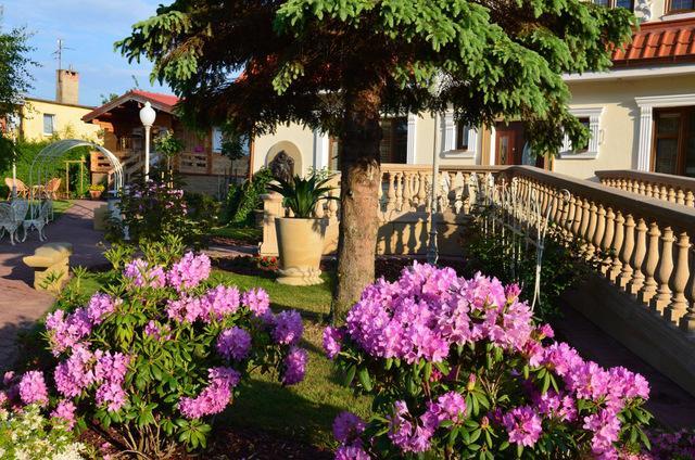 Willa U Babci Maliny Hotel Sarbinowo Buitenkant foto